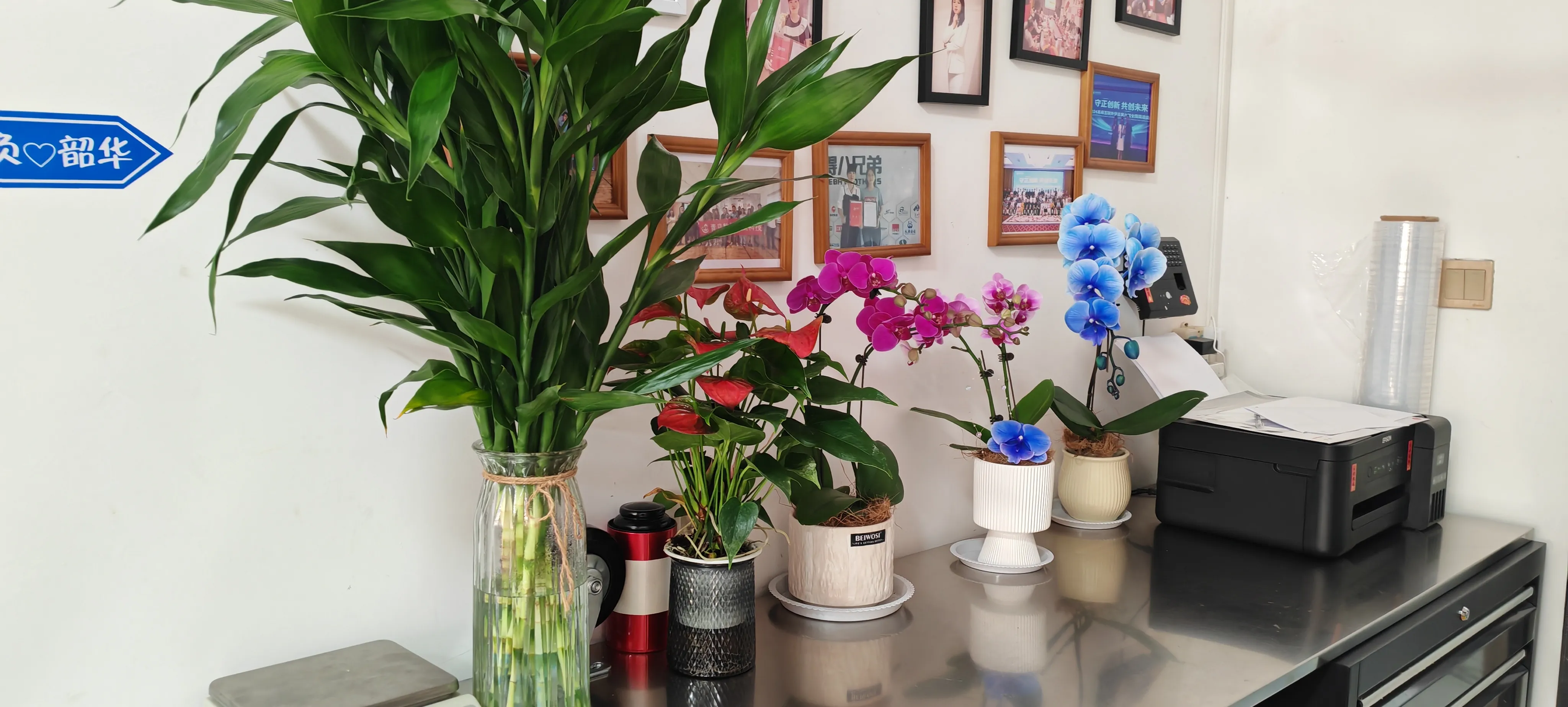 Tervetuloa JOJO Packin uudet ystävät!