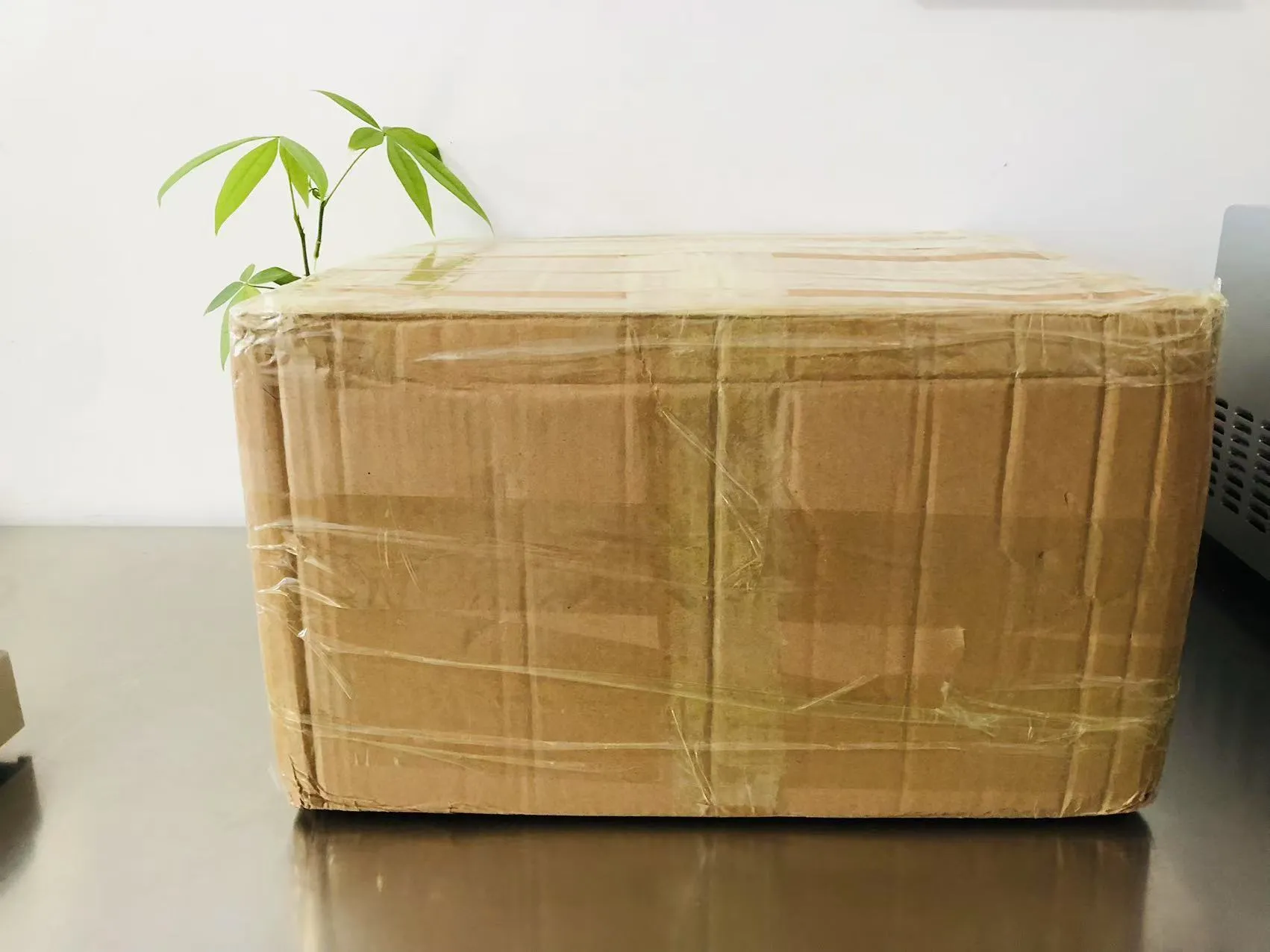 Sarjakuva kiinteät epoksitarrat nyt matkalla Japaniin